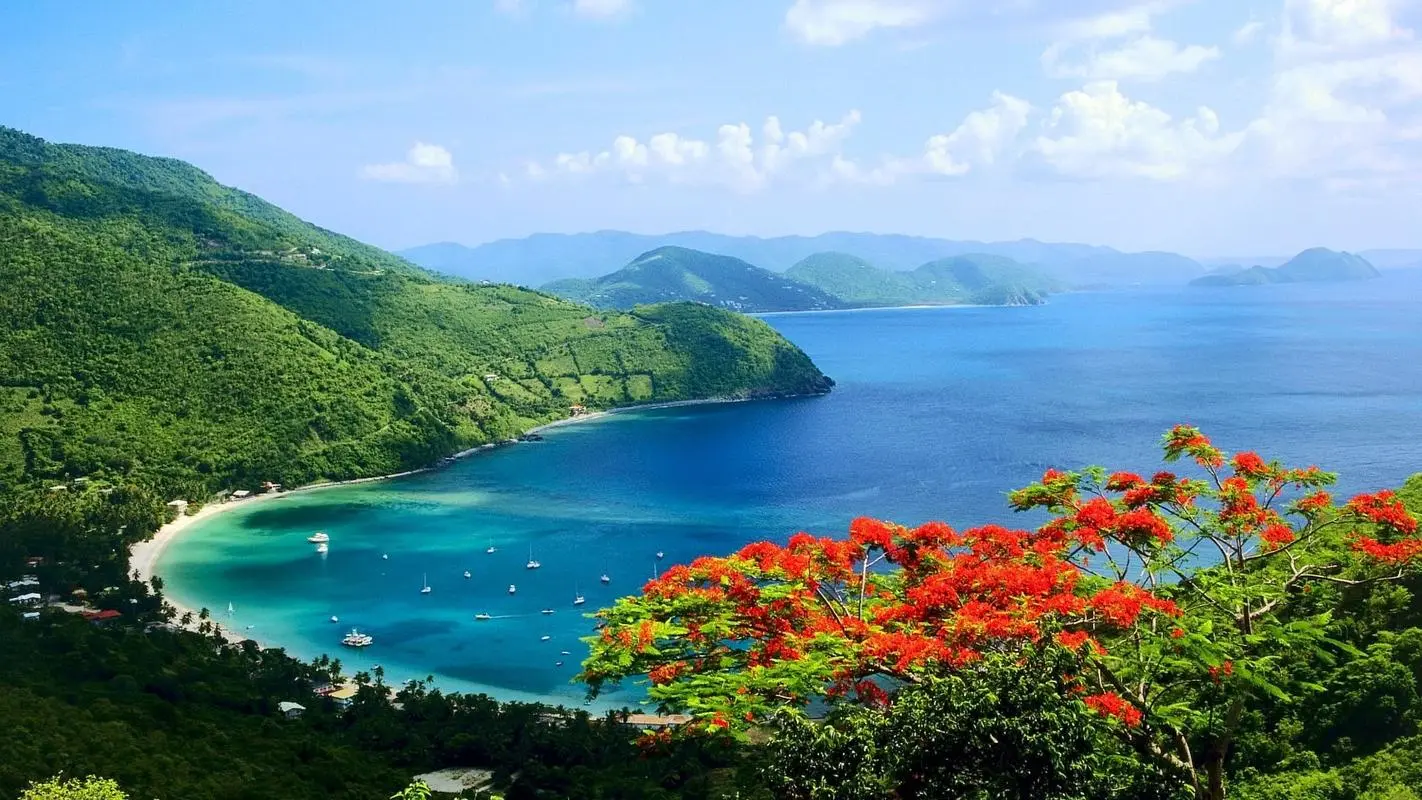 高精度自动化先进